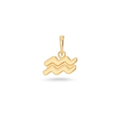 Charm Bar Edblad  | Zodiac Sign Aquarius Gold