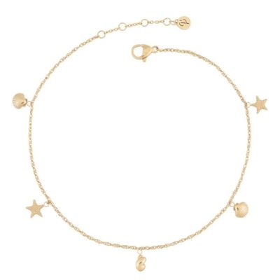 Fotlankar Edblad  | Beachcomber Anklet Multi Gold