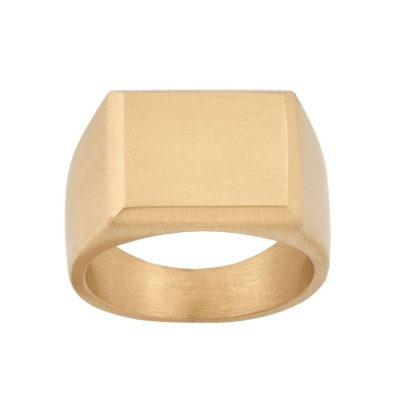 Ringar Edblad  | Cole Signet Ring Matt Gold