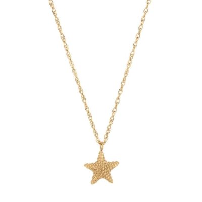 Halsband Edblad  | Beachcomber Starfish Necklace Gold