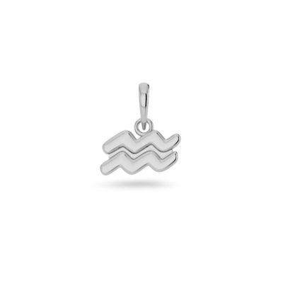 Charm Bar Edblad  | Zodiac Sign Aquarius Steel